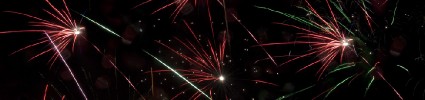 Happy New Year 2011