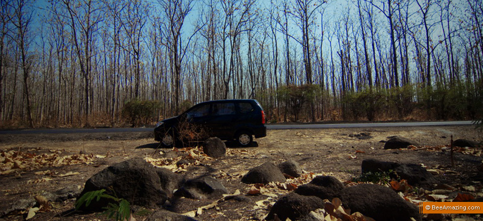 java-road-trip-1-2009