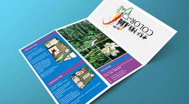 Z Fold Brochure – Color Me Bali Villa
