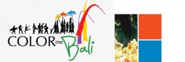 Color Me Bali – Online Brochure Website